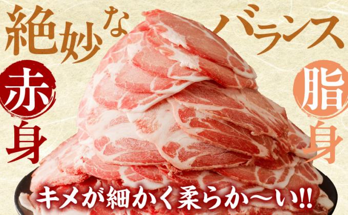 宮崎県都農町のふるさと納税 【2週間以内発送】宮崎県産豚肩ローススライス計2.4kg 肉 豚 豚肉 おかず 国産_T009-0081-2W
