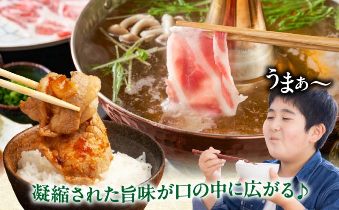 宮崎県都農町のふるさと納税 【2週間以内発送】宮崎県産豚肩ローススライス計2.4kg 肉 豚 豚肉 おかず 国産_T009-0081-2W