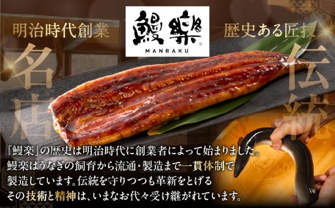 宮崎県都農町のふるさと納税 【春の丑の日までにお届け!!】うなぎ蒲焼特大2尾(さんしょう・たれ付き)計380g以上 鰻 魚 魚介 加工品 国産_T026-0065-US1