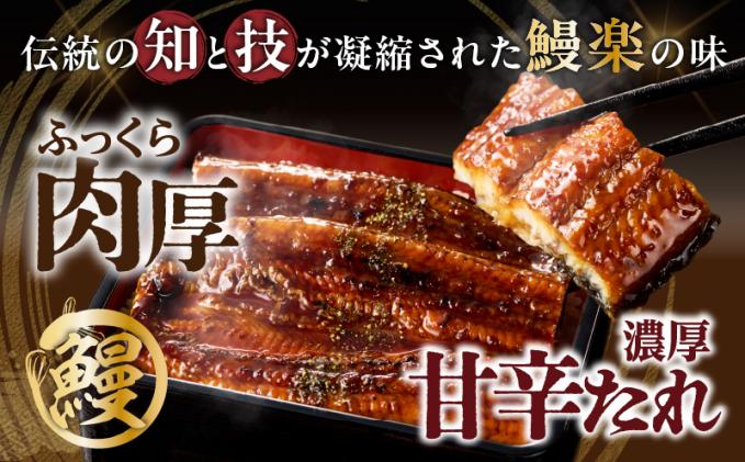 宮崎県都農町のふるさと納税 【春の丑の日までにお届け!!】うなぎ蒲焼特大2尾(さんしょう・たれ付き)計380g以上 鰻 魚 魚介 加工品 国産_T026-0065-US1