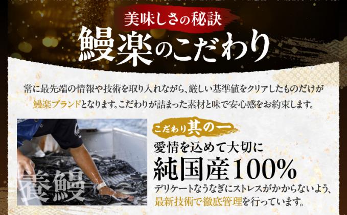 宮崎県都農町のふるさと納税 【春の丑の日までにお届け!!】うなぎ蒲焼特大2尾(さんしょう・たれ付き)計380g以上 鰻 魚 魚介 加工品 国産_T026-0065-US1