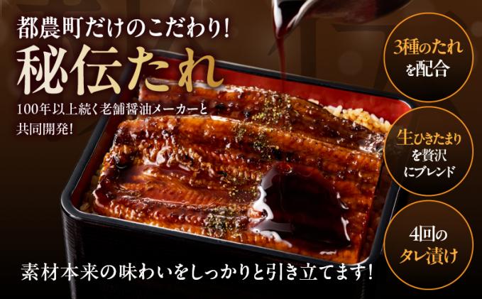 宮崎県都農町のふるさと納税 【春の丑の日までにお届け!!】うなぎ蒲焼特大2尾(さんしょう・たれ付き)計380g以上 鰻 魚 魚介 加工品 国産_T026-0065-US1