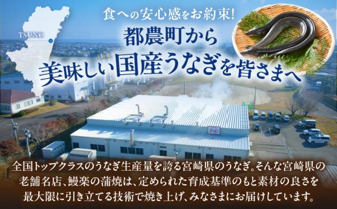 宮崎県都農町のふるさと納税 【3回隔月定期便】うなぎ蒲焼5尾(さんしょう・たれ付き)総重量2400g以上 鰻 魚 魚介 加工品 国産_T026-0032-K