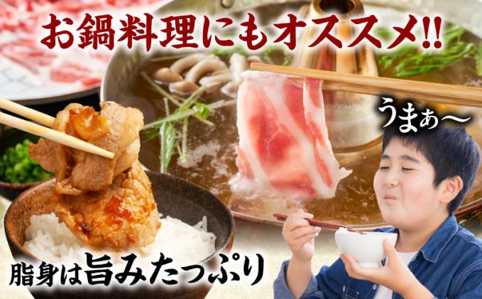 宮崎県都農町のふるさと納税 ≪訳あり≫宮崎県産豚ローススライス計1kg≪ロース・肩ロースどちらかのお届け≫ 肉 豚 豚肉 おかず 国産_T009-0103