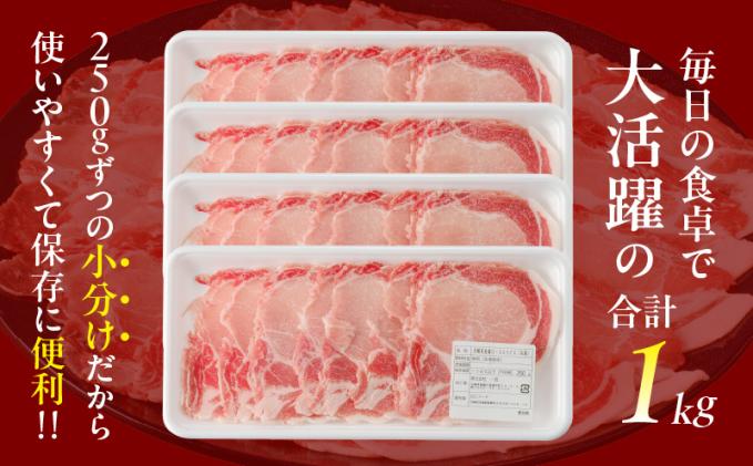 宮崎県都農町のふるさと納税 ≪訳あり≫宮崎県産豚ローススライス計1kg≪ロース・肩ロースどちらかのお届け≫ 肉 豚 豚肉 おかず 国産_T009-0103