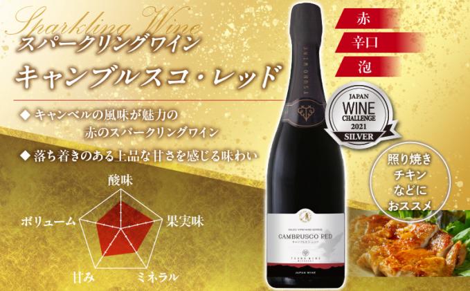 スパークリングワイン飲み比べ3本セット 酒 飲料 アルコール