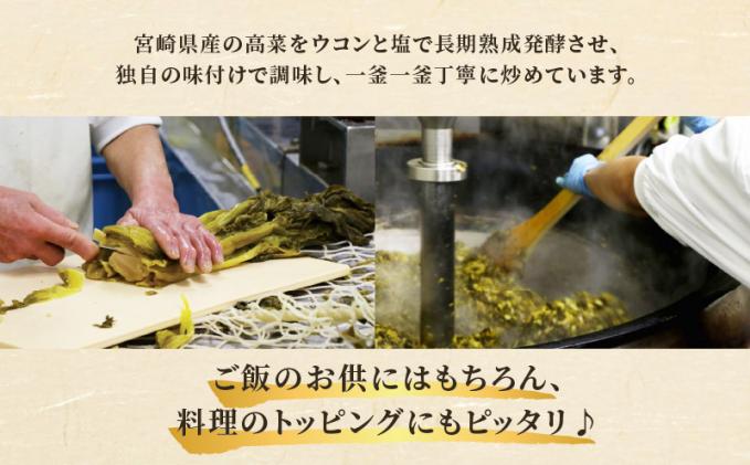 宮崎県都農町のふるさと納税 ＼ポスト投函/高菜油炒め100g つけもの おかず 野菜 加工品 国産_T037-005