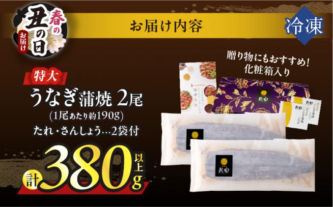 宮崎県都農町のふるさと納税 【春の丑の日までにお届け!!】うなぎ蒲焼特大2尾(さんしょう・たれ付き)計380g以上 鰻 魚 魚介 加工品 国産_T026-0065-US1