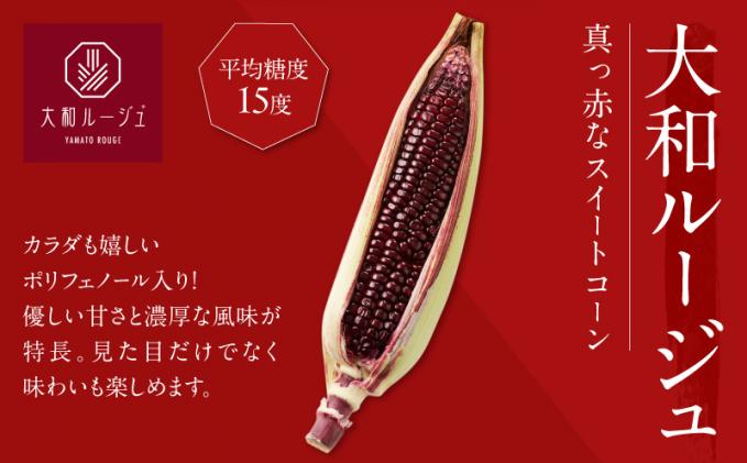 宮崎県都農町のふるさと納税 先行予約≪期間限定≫赤いスイートコーン大和ルージュ&スーパースイートコーンセット(合計4.5kg) 野菜 旬 国産_T003-008