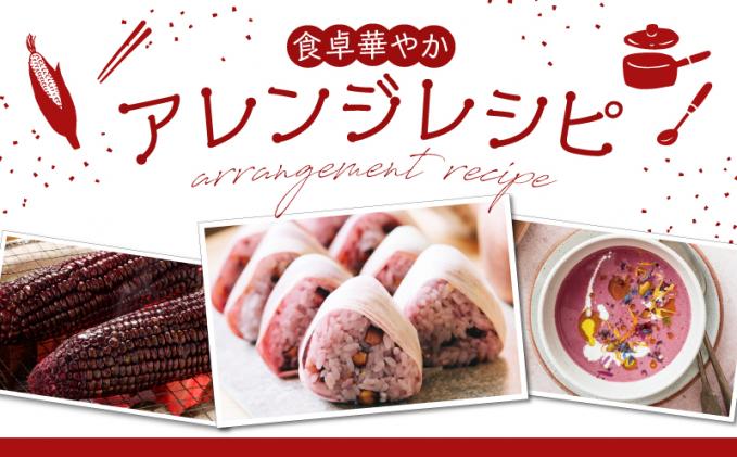 宮崎県都農町のふるさと納税 先行予約≪期間限定≫赤いスイートコーン大和ルージュ&スーパースイートコーンセット(合計4.5kg) 野菜 旬 国産_T003-008