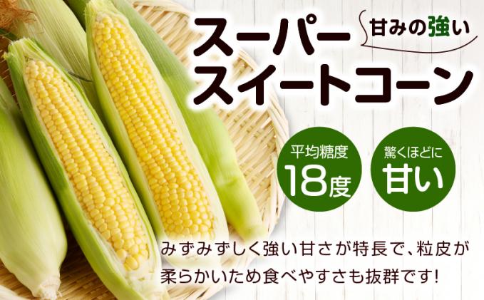 宮崎県都農町のふるさと納税 先行予約≪期間限定≫赤いスイートコーン大和ルージュ&スーパースイートコーンセット(合計4.5kg) 野菜 旬 国産_T003-008