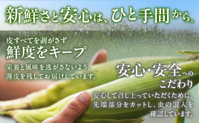 宮崎県都農町のふるさと納税 先行予約≪期間限定≫赤いスイートコーン大和ルージュ&スーパースイートコーンセット(合計4.5kg) 野菜 旬 国産_T003-008