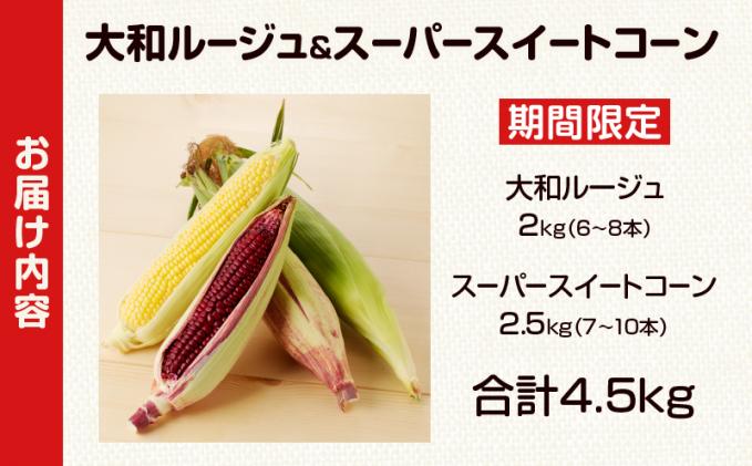 宮崎県都農町のふるさと納税 先行予約≪期間限定≫赤いスイートコーン大和ルージュ&スーパースイートコーンセット(合計4.5kg) 野菜 旬 国産_T003-008