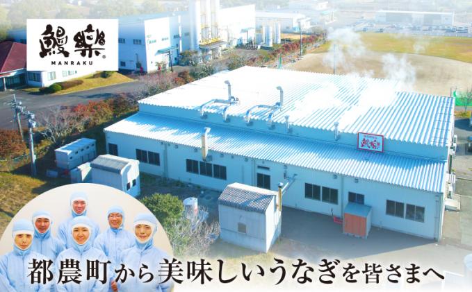 宮崎県都農町のふるさと納税 先行予約≪隔月定期便全3回≫10月・12月・2月お届け!!生産者応援!!【数量限定特別規格】うなぎ蒲焼5尾(総重量2.7kg以上) 鰻 魚 魚介 加工品 国産_T026-0055