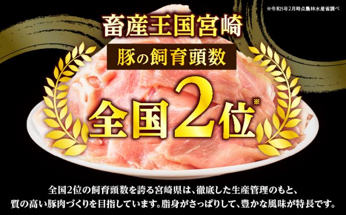 宮崎県都農町のふるさと納税 【2週間以内発送】≪宮崎県産≫豚肉6種＼てげスゲーセット/合計4.2kg 肉 豚 豚肉 おかず 国産_T009-0121-2W