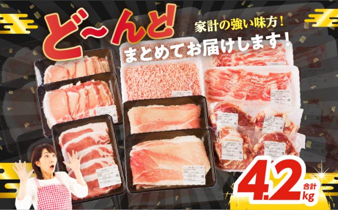 宮崎県都農町のふるさと納税 【2週間以内発送】≪宮崎県産≫豚肉6種＼てげスゲーセット/合計4.2kg 肉 豚 豚肉 おかず 国産_T009-0121-2W