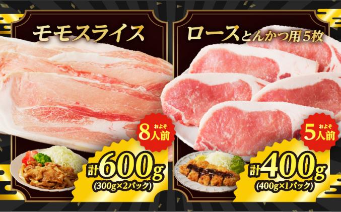 宮崎県都農町のふるさと納税 【2週間以内発送】≪宮崎県産≫豚肉6種＼てげスゲーセット/合計4.2kg 肉 豚 豚肉 おかず 国産_T009-0121-2W