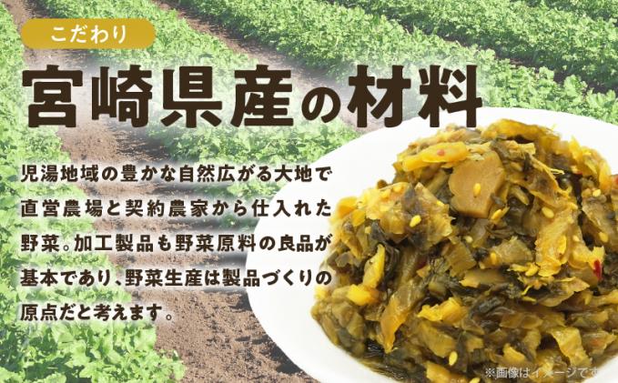 宮崎県都農町のふるさと納税 ＼ポスト投函/旨ごま高菜&ピリ辛高菜セット 計2袋(各120g) 漬物 おかず 野菜 加工品 国産_T025-026