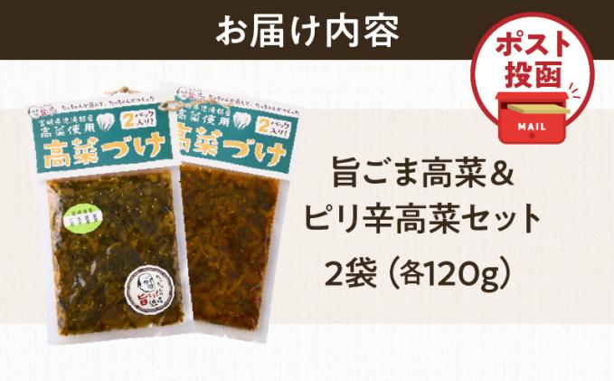 宮崎県都農町のふるさと納税 ＼ポスト投函/旨ごま高菜&ピリ辛高菜セット 計2袋(各120g) 漬物 おかず 野菜 加工品 国産_T025-026
