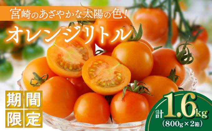 宮崎県都農町のふるさと納税 ≪期間限定≫オレンジリトル(計1.6kg) ミニトマト 野菜 サラダ 国産_T040-0011