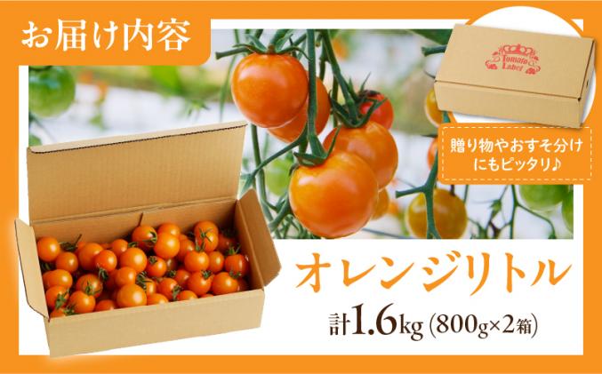 宮崎県都農町のふるさと納税 ≪期間限定≫オレンジリトル(計1.6kg) ミニトマト 野菜 サラダ 国産_T040-0011