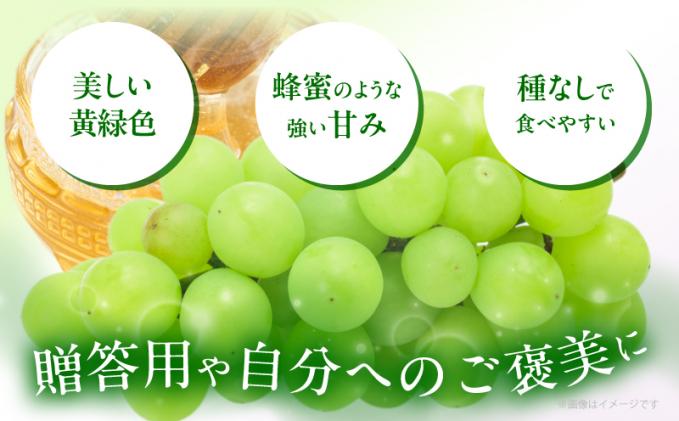 宮崎県都農町のふるさと納税 先行予約≪期間限定≫都農町産ハニービーナス(計2kg) ぶどう フルーツ 果物 デザート 国産_T015-0035