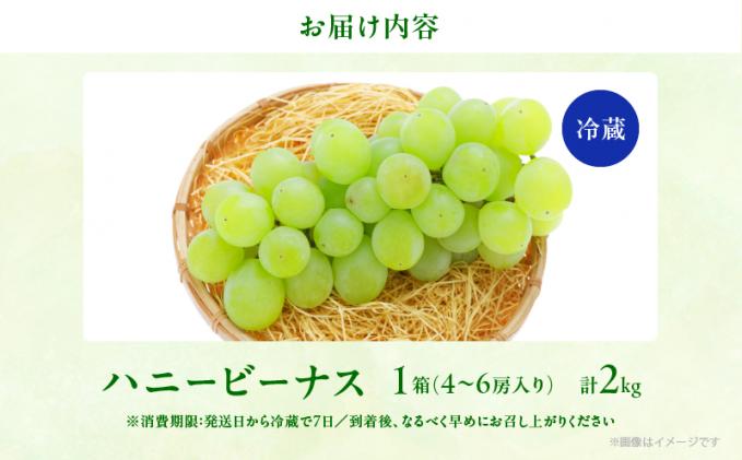 宮崎県都農町のふるさと納税 先行予約≪期間限定≫都農町産ハニービーナス(計2kg) ぶどう フルーツ 果物 デザート 国産_T015-0035