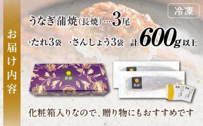 宮崎県都農町のふるさと納税 うなぎ蒲焼特大3尾(さんしょう・たれ付き)計600g以上 鰻 魚 魚介 加工品 国産_T026-002
