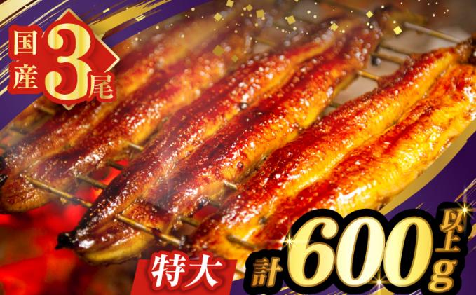 宮崎県都農町のふるさと納税 うなぎ蒲焼3尾(さんしょう・たれ付き)計600g以上 鰻 魚 魚介 加工品 国産_T026-0146