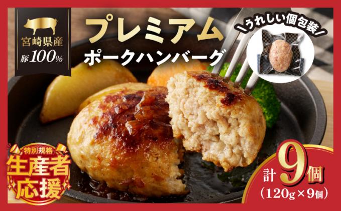 「生産者応援![期間・数量限定特別規格]」宮崎県産豚プレミアムハンバーグ(計9個) 肉 豚肉 加工品 惣菜 国産_T001-0091-ZO