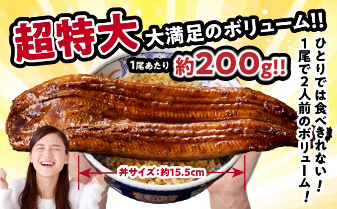 宮崎県都農町のふるさと納税 うなぎ蒲焼特大3尾(さんしょう・たれ付き)計600g以上 鰻 魚 魚介 加工品 国産_T026-002