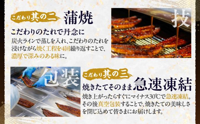 宮崎県都農町のふるさと納税 うなぎ蒲焼5尾(さんしょう・たれ付き)計800g以上 鰻 魚 魚介 加工品 国産_T026-003