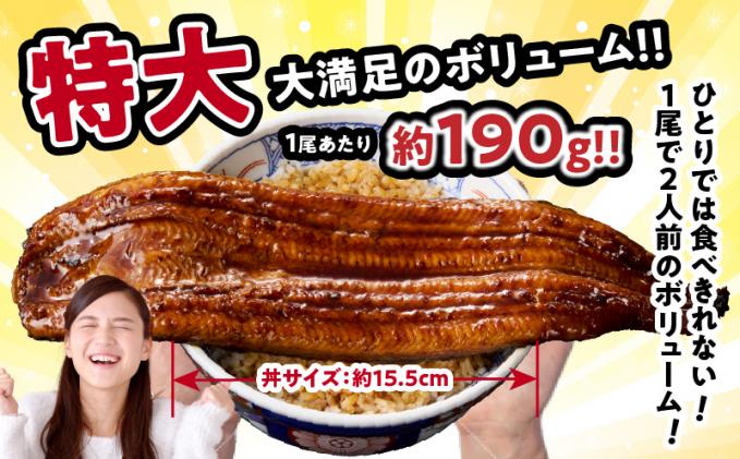 宮崎県都農町のふるさと納税 【丑の日までにお届け!!】うなぎ蒲焼特大2尾(さんしょう・たれ付き)計380g以上 鰻 魚 魚介 加工品 国産_T026-0061-US