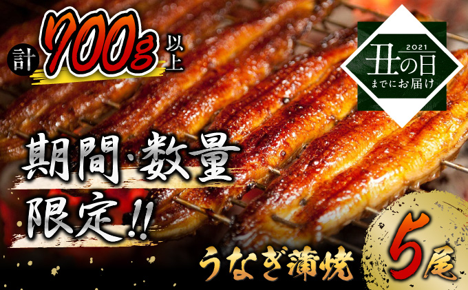 B128 Us 丑の日までにお届け うなぎ蒲焼5尾 計700g以上 国産鰻 ウナギ さんしょう たれセット 宮崎県都農町 セゾンのふるさと納税