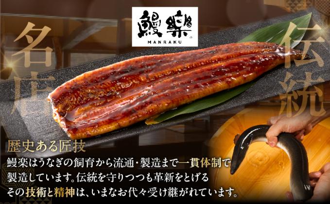 宮崎県都農町のふるさと納税 【2週間以内発送】うなぎ蒲焼特大2尾(さんしょう・たれ付き)計380g以上 鰻 魚 魚介 加工品 国産_T026-0065-2W
