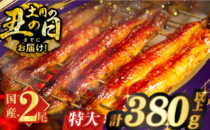 宮崎県都農町のふるさと納税 【丑の日までにお届け!!】うなぎ蒲焼特大2尾(さんしょう・たれ付き)計380g以上 鰻 魚 魚介 加工品 国産_T026-0061-US