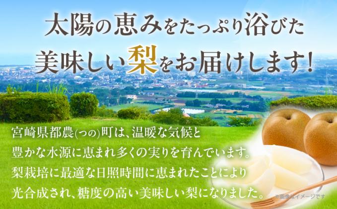 宮崎県都農町のふるさと納税 ≪期間限定≫まるみ観光果樹園の『豊水梨』(約3kg) なし 果物 フルーツ 天然 ミネラル栽培_T036-001