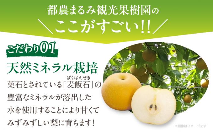 宮崎県都農町のふるさと納税 ≪期間限定≫まるみ観光果樹園の『豊水梨』(約3kg) なし 果物 フルーツ 天然 ミネラル栽培_T036-001