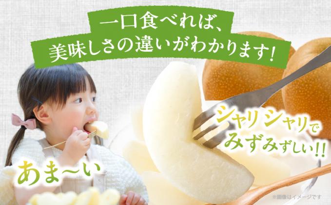 宮崎県都農町のふるさと納税 ≪期間限定≫まるみ観光果樹園の『豊水梨』(約3kg) なし 果物 フルーツ 天然 ミネラル栽培_T036-001