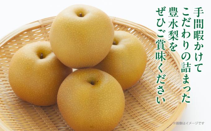 宮崎県都農町のふるさと納税 ≪期間限定≫まるみ観光果樹園の『豊水梨』(約3kg) なし 果物 フルーツ 天然 ミネラル栽培_T036-001