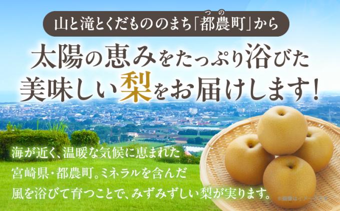 宮崎県都農町のふるさと納税 先行予約≪期間限定≫まるみ観光果樹園の『豊水梨』(約3kg) なし 果物 フルーツ 天然 ミネラル栽培_T036-0015