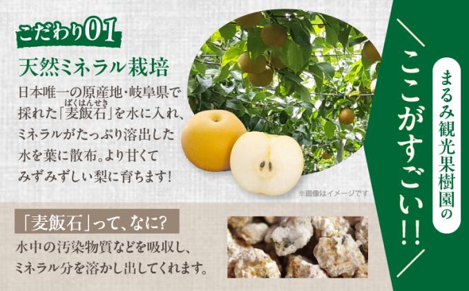宮崎県都農町のふるさと納税 先行予約≪期間限定≫まるみ観光果樹園の『豊水梨』(約3kg) なし 果物 フルーツ 天然 ミネラル栽培_T036-0015