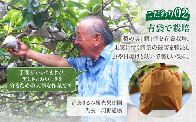 宮崎県都農町のふるさと納税 先行予約≪期間限定≫まるみ観光果樹園の『豊水梨』(約3kg) なし 果物 フルーツ 天然 ミネラル栽培_T036-0015