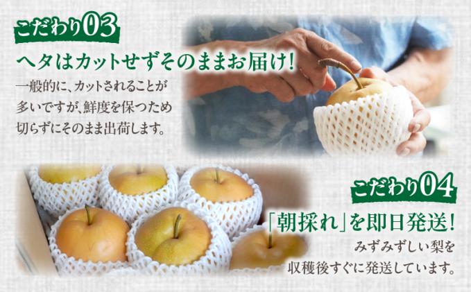 宮崎県都農町のふるさと納税 先行予約≪期間限定≫まるみ観光果樹園の『豊水梨』(約3kg) なし 果物 フルーツ 天然 ミネラル栽培_T036-0015