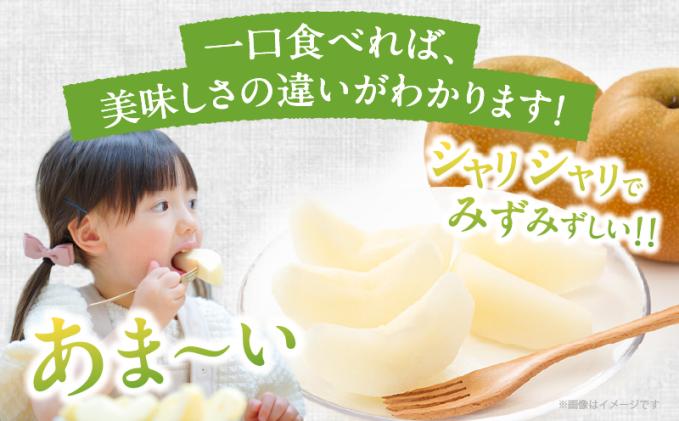 宮崎県都農町のふるさと納税 先行予約≪期間限定≫まるみ観光果樹園の『豊水梨』(約3kg) なし 果物 フルーツ 天然 ミネラル栽培_T036-0015