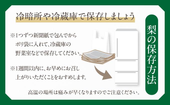 宮崎県都農町のふるさと納税 先行予約≪期間限定≫まるみ観光果樹園の『豊水梨』(約3kg) なし 果物 フルーツ 天然 ミネラル栽培_T036-0015