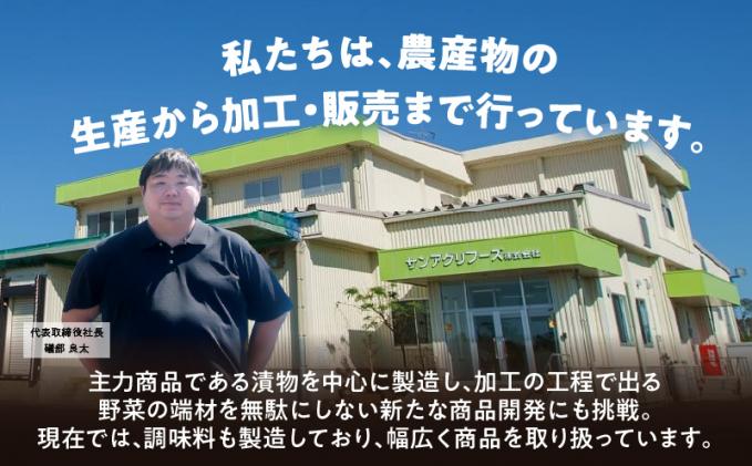 宮崎県都農町のふるさと納税 ＼ポスト投函/旨ごま高菜&ピリ辛高菜セット 計2袋(各120g) 漬物 おかず 野菜 加工品 国産_T025-026