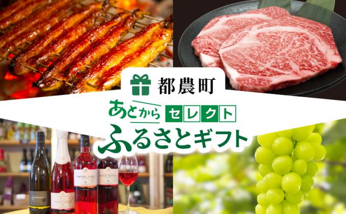 宮崎県都農町のふるさと納税 ≪期限1年間≫あとからセレクト 10万円コース【ふるさとギフト】 あとから選べる カタログ ギフト 鰻 肉 ワイン 都農町_T998-019