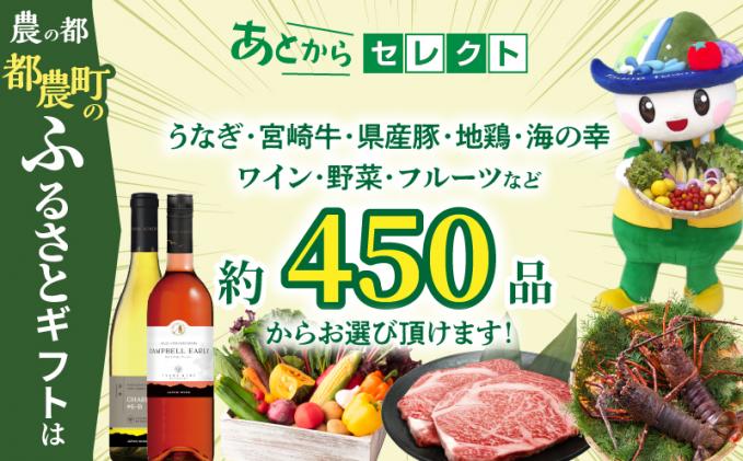 宮崎県都農町のふるさと納税 ≪期限1年間≫あとからセレクト 10万円コース【ふるさとギフト】 あとから選べる カタログ ギフト 鰻 肉 ワイン 都農町_T998-019