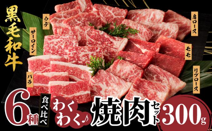 [2週間以内発送]生産者応援≪訳あり≫黒毛和牛(経産牛)6種焼肉セット(合計300g) 肉 牛 牛肉 おかず 国産_T030-022-2W